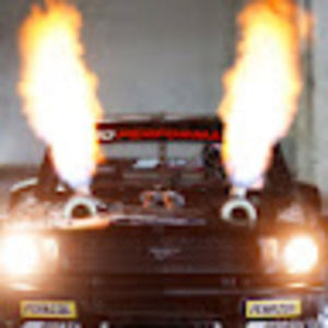 Meet your Posher, Brayden